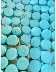 Blueberry+Macarons